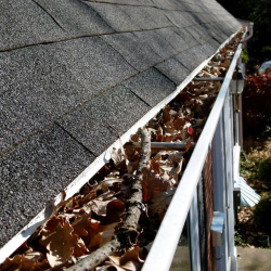 Gutter Cleaning