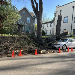 Storm Damage Clean Up