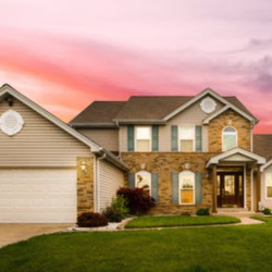 Residential and Commercial Pest Control