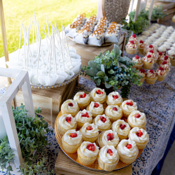 Wedding Cake Tasting