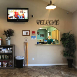 Book Appointment	