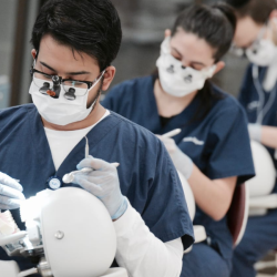 Doctor of Dental Surgery (DDS)
