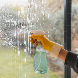 Window Cleaning