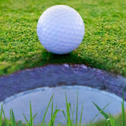 Los Lagos Golfers