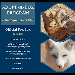 Adopt -A- Fox Program