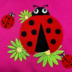 Custom Embroidering