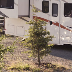 RV Parks