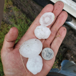 Crop Hail Insurance