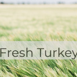 Fresh Turkey