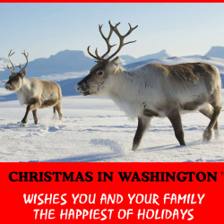 Christmas in Washington