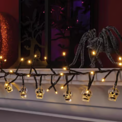 Holiday Decorations & Seasonal Décor