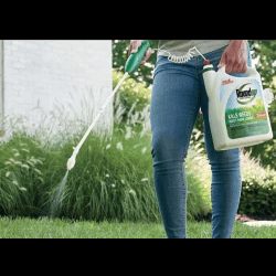Lawn & Garden