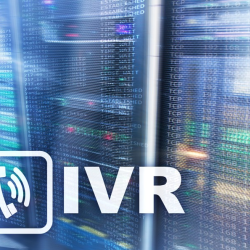 Conch Connect – IVR / Text Messaging