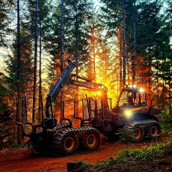 Forestry Jobs