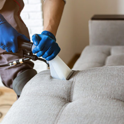 Residential Upholstery Cleaning Services