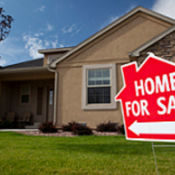 Property Search
