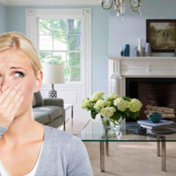 Residential Odor Removal Services