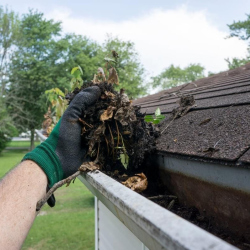 Gutter Cleaning