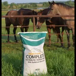 Horse Feed