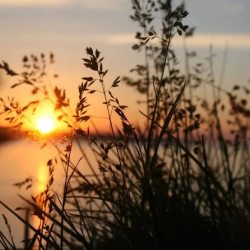 Liaison and Coordination