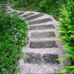 Stepping Up Program