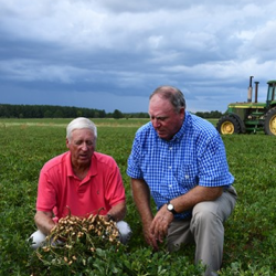 Crop Production and Livestock Loans	