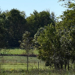 Homesite Loans