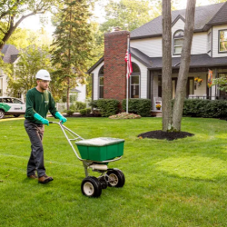 Tree and Shrub Fertilization Services