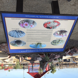 Educational Gardens