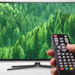 TV