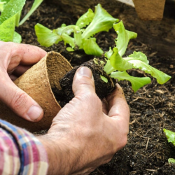 Fertilizer & Soil Amendment Products