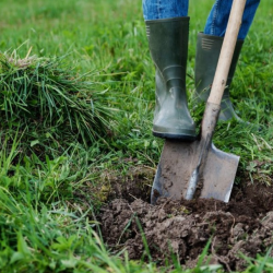  Soil Amendment