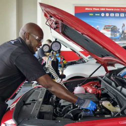 Fuel System Cleaning