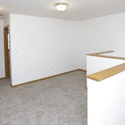 Daily Tours and Showings