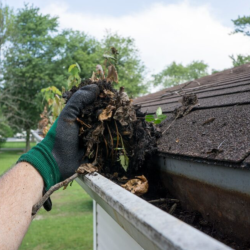 Gutter Cleaning