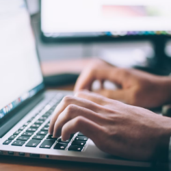 Website Development and Management