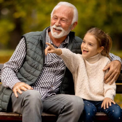 Insurance Services