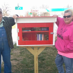 Public Library Services