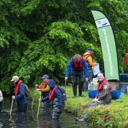 River Festival