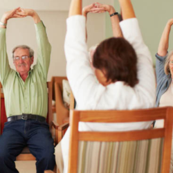 Physical, Occupational & Speech Therapies