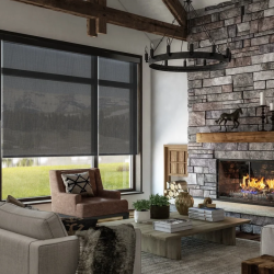 Roller Shades