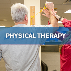 Physical Therapy 