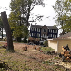 Tree Pruning