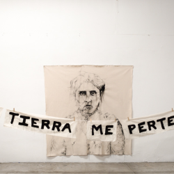 Exhibitions