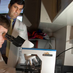 Center for Biomedical Research