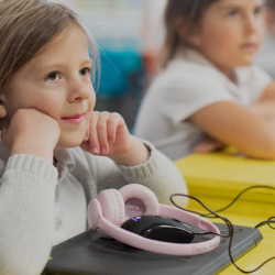 Blended Education