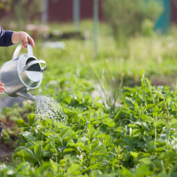 Fertilizer Manufacturing