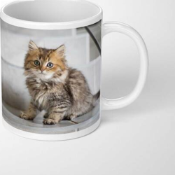 Mugs 