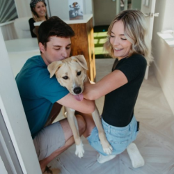 Pet Friendly 