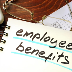 Employer Sponsored Medical Benefits